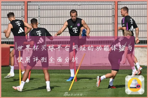 世界杯买球平台网址的功能体验与使用评测全面分析