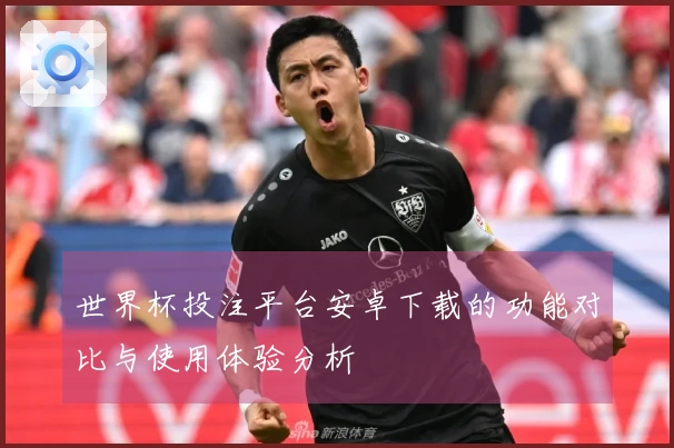 世界杯投注平台安卓下载的功能对比与使用体验分析
