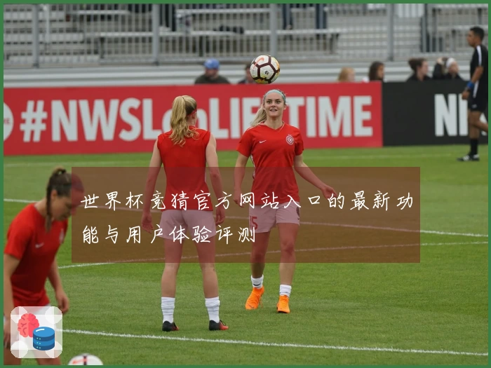 世界杯竞猜官方网站入口的最新功能与用户体验评测