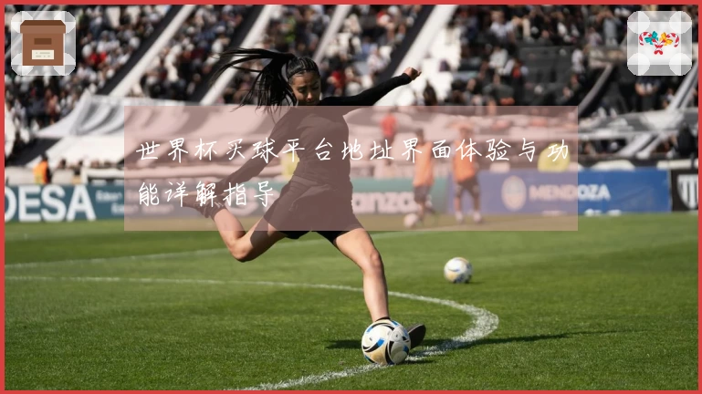 世界杯买球平台地址界面体验与功能详解指导